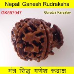 25.39 MM Nepali Ganesha Rudraksh Beads