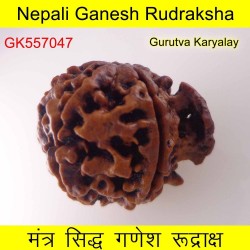 25.39 MM Nepali Ganesha Rudraksh Beads