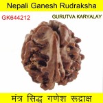 20.08 MM Nepali Ganesha Rudraksh Beads 20.08 MM Nepali Ganesha Rudraksh Beads