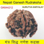 20.08 MM Nepali Ganesha Rudraksh Beads 20.08 MM Nepali Ganesha Rudraksh Beads