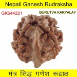 19.63 MM Nepali Ganesha Rudraksh Beads