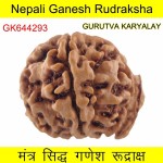 24.40 MM Nepali Ganesha Rudraksh Beads