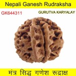 24.85 MM Nepali Ganesha Rudraksh Beads