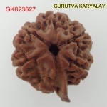 25.39 MM Nepali Ganesha Rudraksh Beads