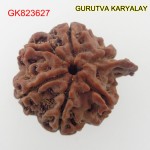 25.39 MM Nepali Ganesha Rudraksh Beads