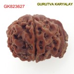 25.39 MM Nepali Ganesha Rudraksh Beads