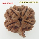 23.80 MM Nepali Ganesha Rudraksh Beads