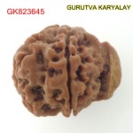 23.80 MM Nepali Ganesha Rudraksh Beads