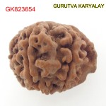 23.86 MM Nepali Ganesha Rudraksh Beads