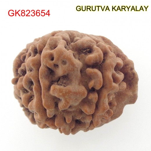 23.86 MM Nepali Ganesha Rudraksh Beads