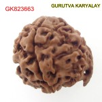 22.42 MM Nepali Ganesha Rudraksh Beads