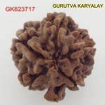 20.90 MM Nepali Ganesha Rudraksh Beads